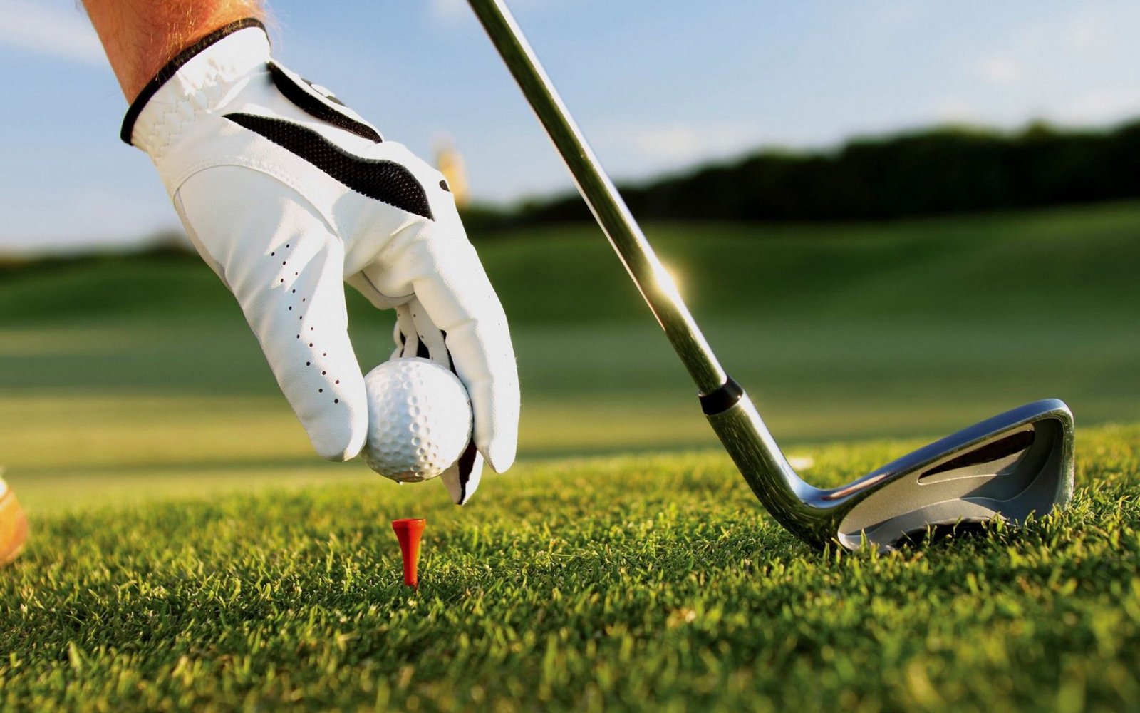 Golf Gloves Breakdown: Materials, Fit, and Performance Tips